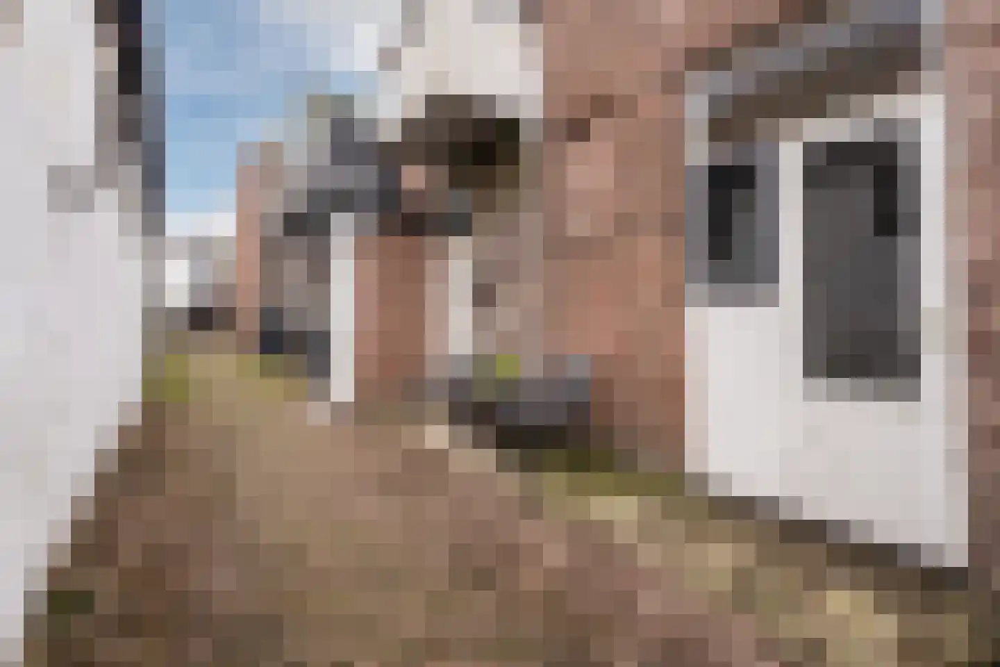 van de Kasteelestraat 3 's-Gravenzande thumbnail 16