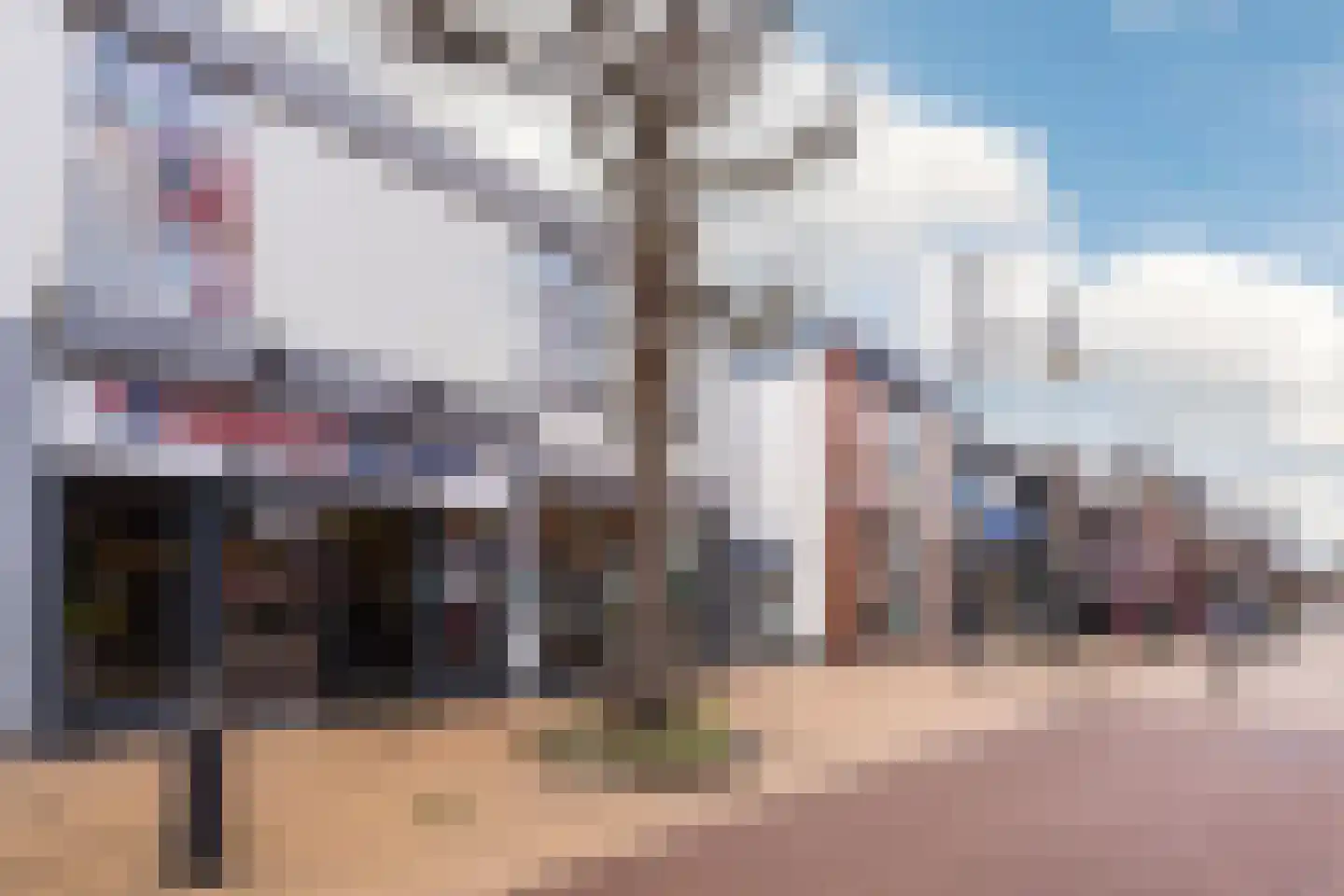 van de Kasteelestraat 3 's-Gravenzande thumbnail 18