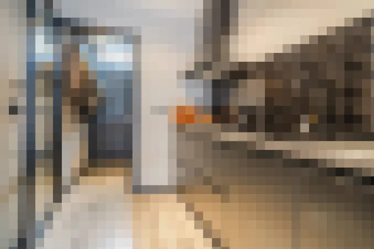 van de Kasteelestraat 3 's-Gravenzande thumbnail 7