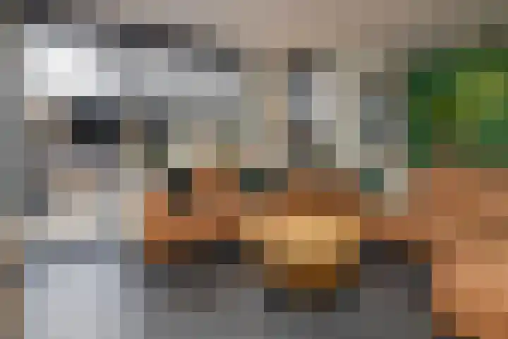 Van de Kerckhovestraat 20 Wateringen thumbnail 19