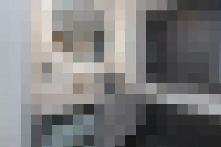 Van de Kerckhovestraat 20 Wateringen thumbnail 4