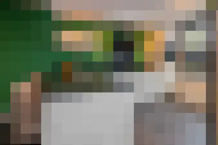 Van de Kerckhovestraat 20 Wateringen thumbnail 7
