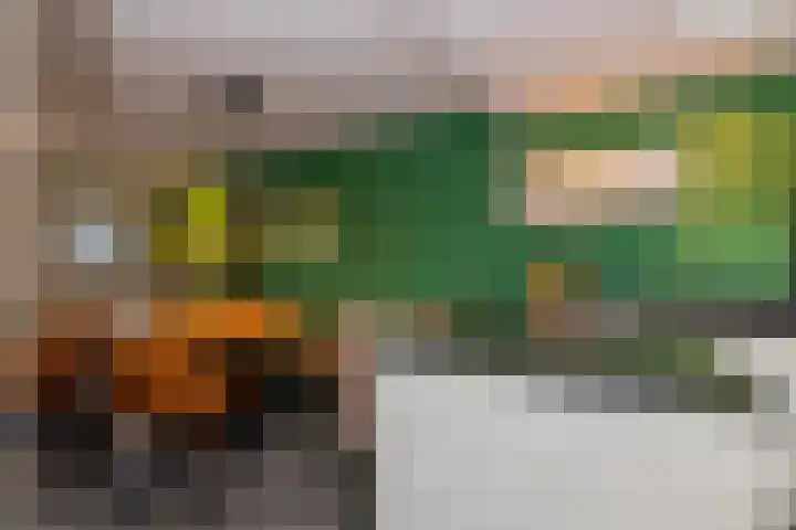 Van de Kerckhovestraat 20 Wateringen thumbnail 8