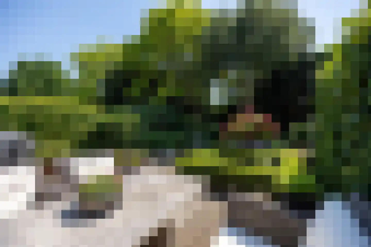 Van de Lagemaathof 37 Leusden thumbnail 28