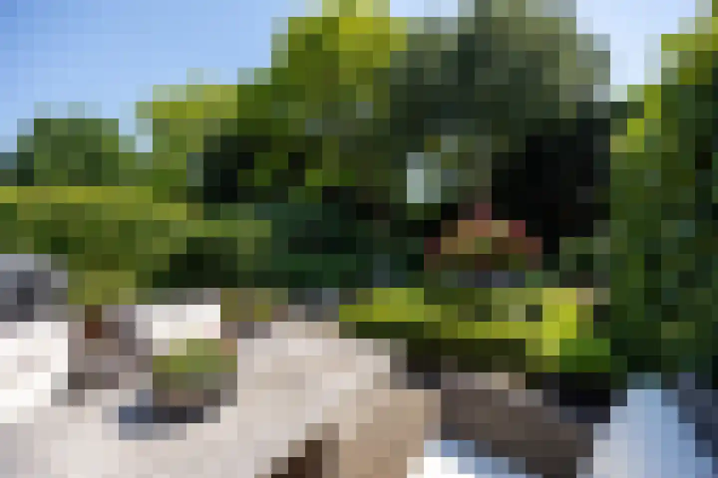 Van de Lagemaathof 37 Leusden thumbnail 29