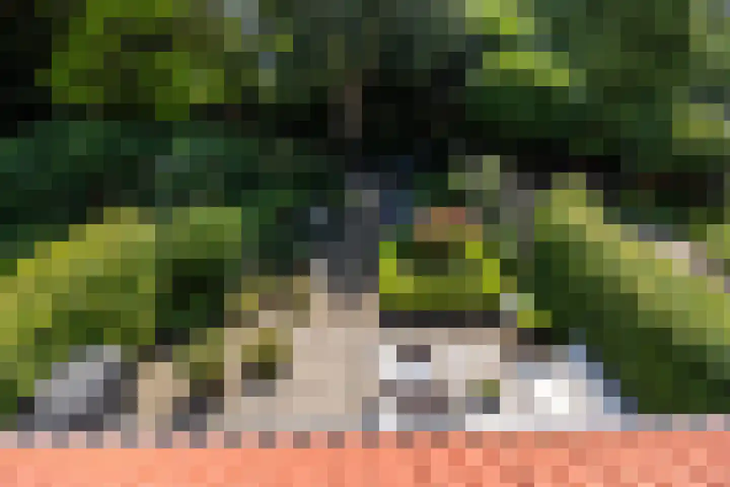 Van de Lagemaathof 37 Leusden thumbnail 34