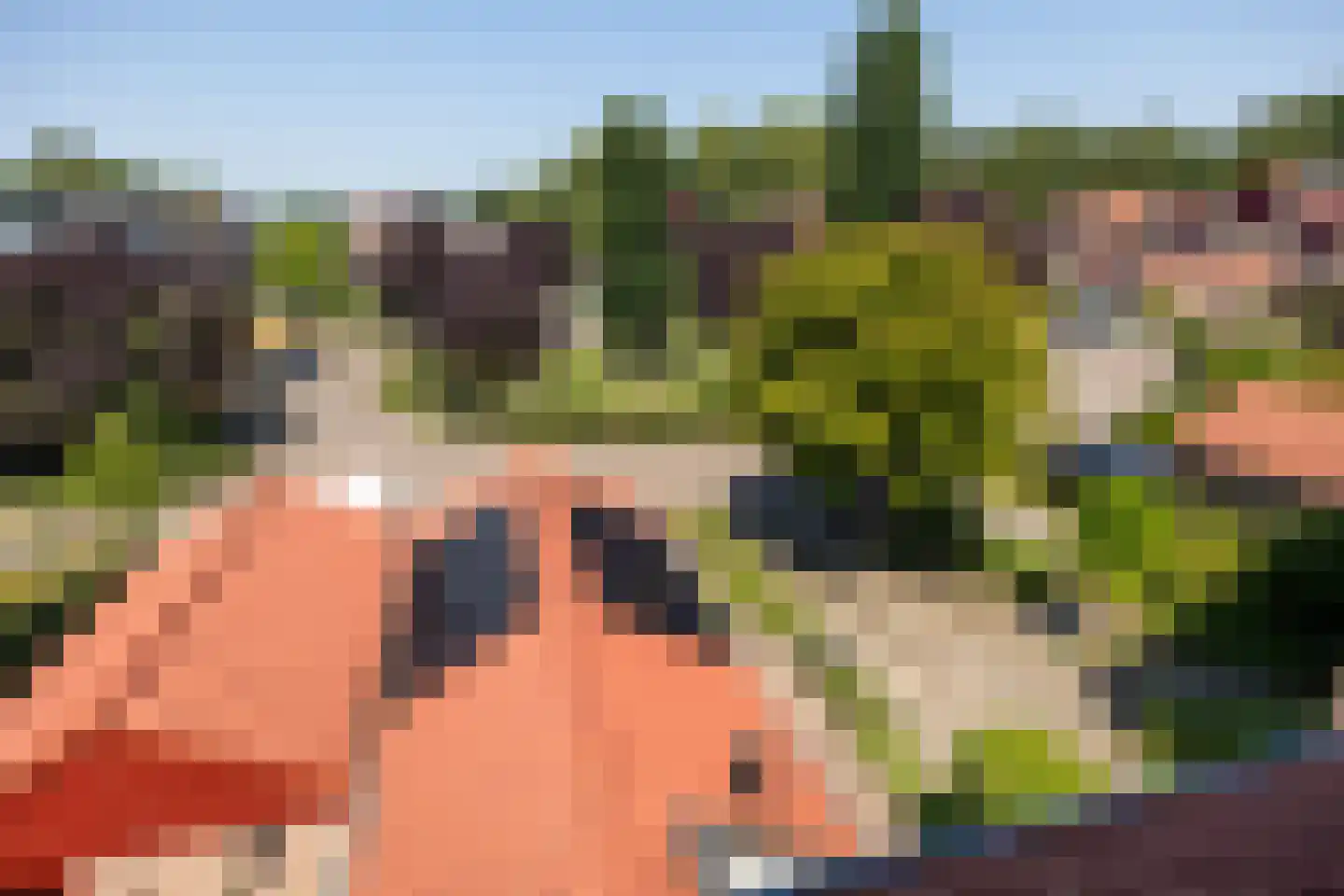 Van de Lagemaathof 37 Leusden thumbnail 35