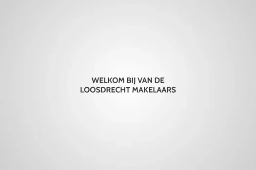 Screenshot der Website von vandeloosdrecht.nl