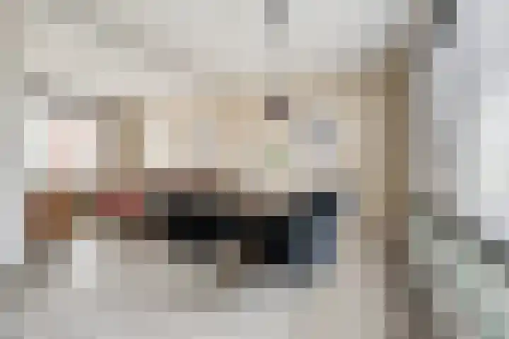 Van de Loostraat 16 Zevenaar thumbnail 16