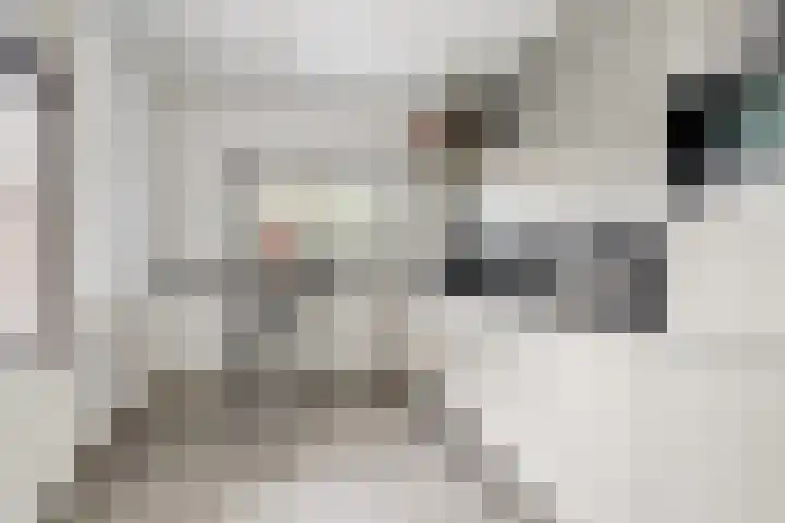 Van de Loostraat 16 Zevenaar thumbnail 20