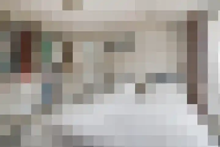 Van de Loostraat 16 Zevenaar thumbnail 26