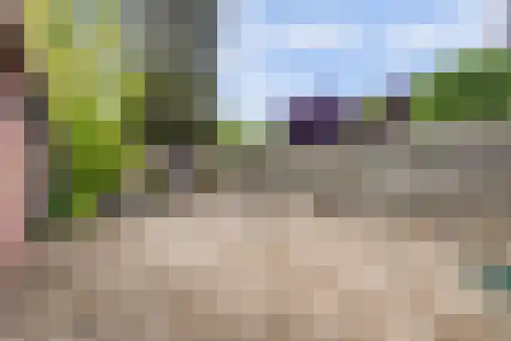Van de Loostraat 16 Zevenaar thumbnail 35