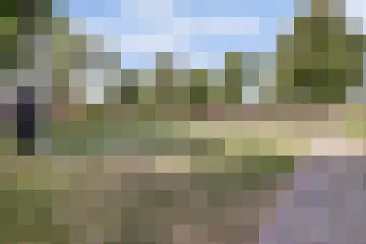 Van de Loostraat 16 Zevenaar thumbnail 38