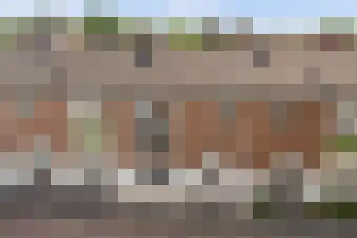 Van de Loostraat 16 Zevenaar thumbnail 40