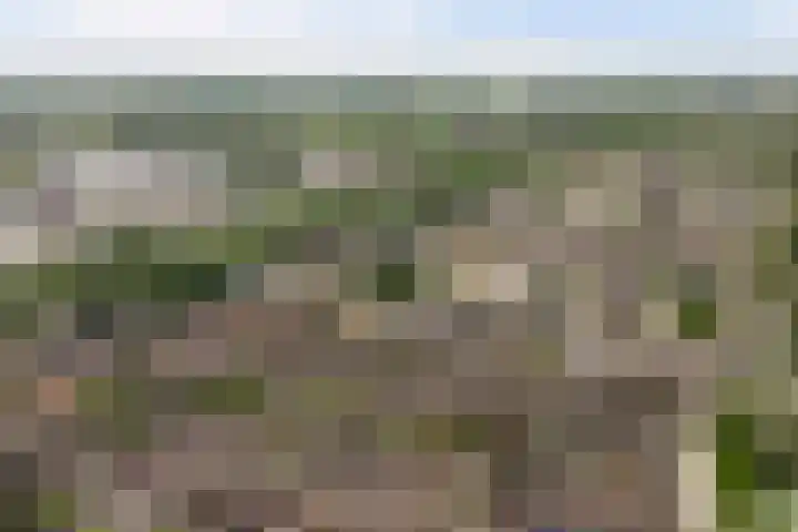 Van de Loostraat 16 Zevenaar thumbnail 43
