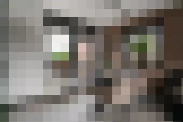 Van de Loostraat 40 Zevenaar thumbnail 18