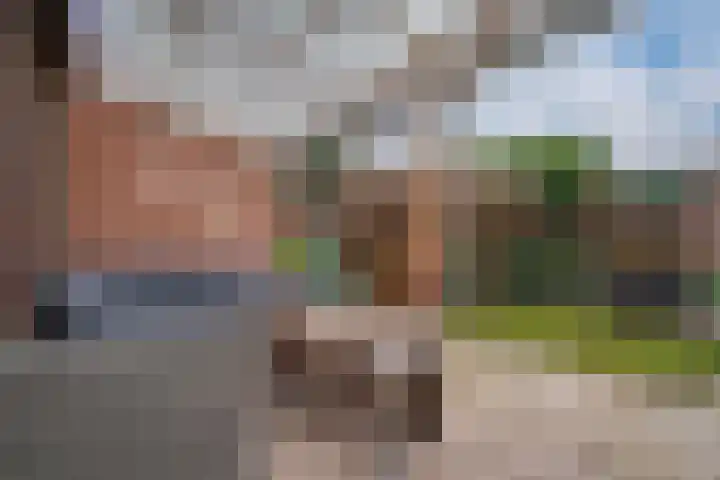 Van de Loostraat 40 Zevenaar thumbnail 23