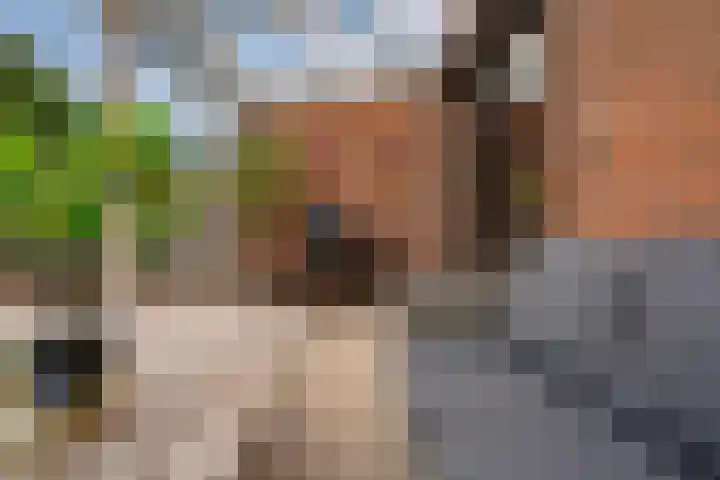 Van de Loostraat 40 Zevenaar thumbnail 25