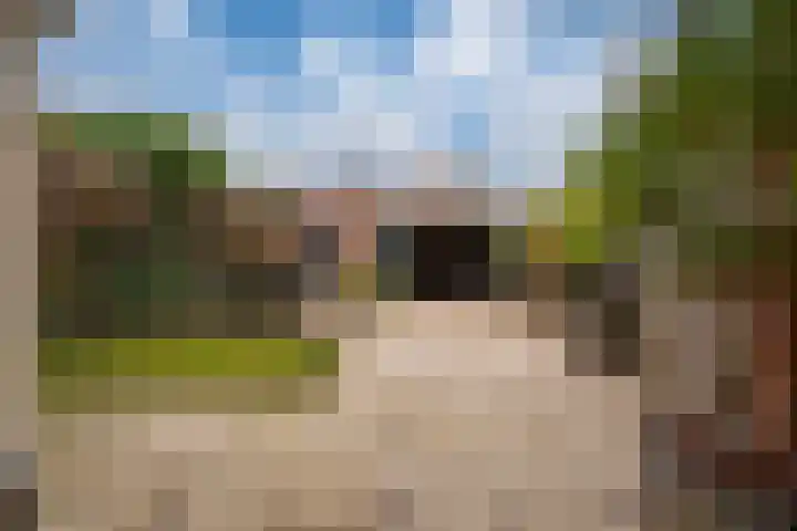 Van de Loostraat 40 Zevenaar thumbnail 26