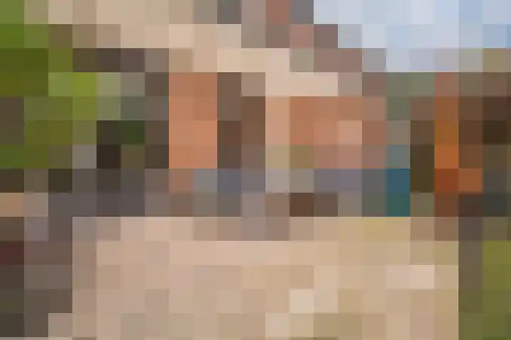 Van de Loostraat 40 Zevenaar thumbnail 27
