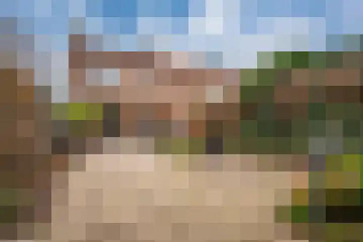 Van de Loostraat 40 Zevenaar thumbnail 30