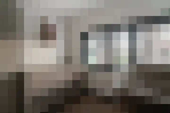 Van de Loostraat 40 Zevenaar thumbnail 40