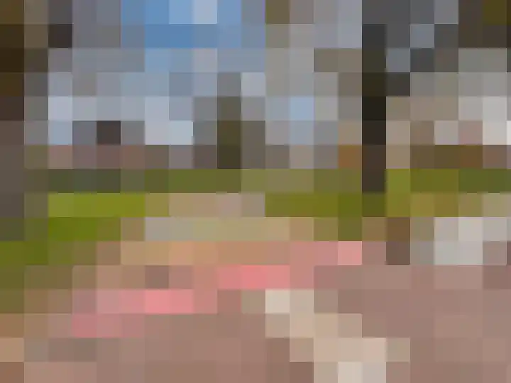 Van de Loostraat 40 Zevenaar thumbnail 46