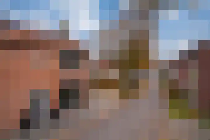 Van de Loostraat 40 Zevenaar thumbnail 8