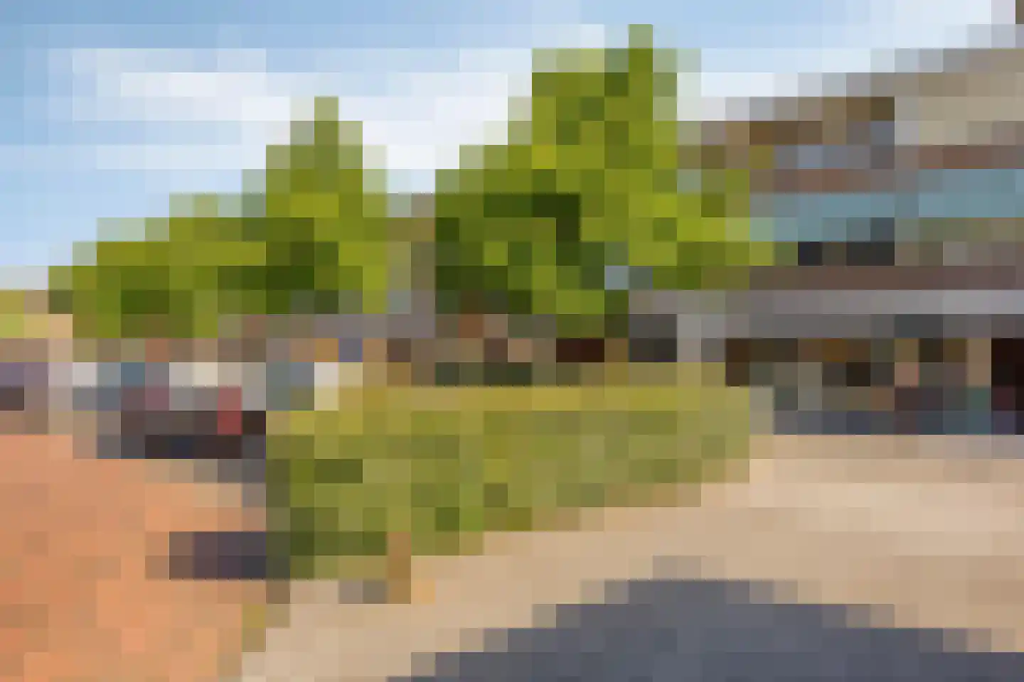 van de Mortelstraat 112 Noordwijk thumbnail 33