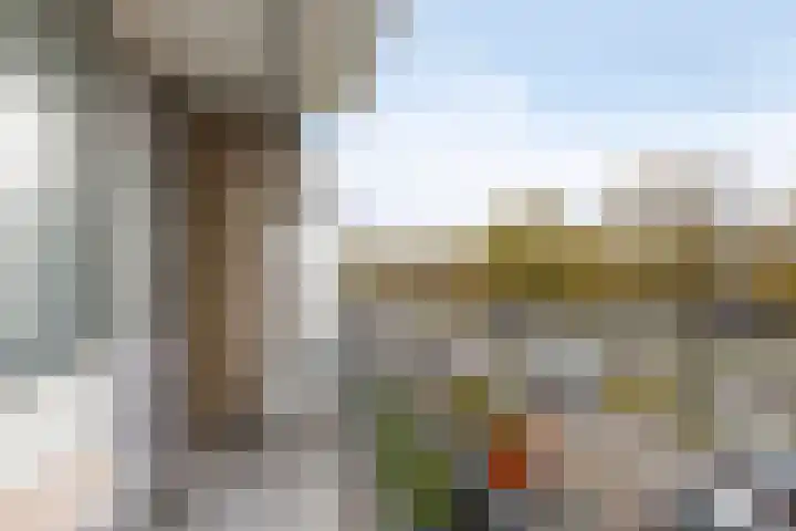 van de Mortelstraat 154 Noordwijk thumbnail 15