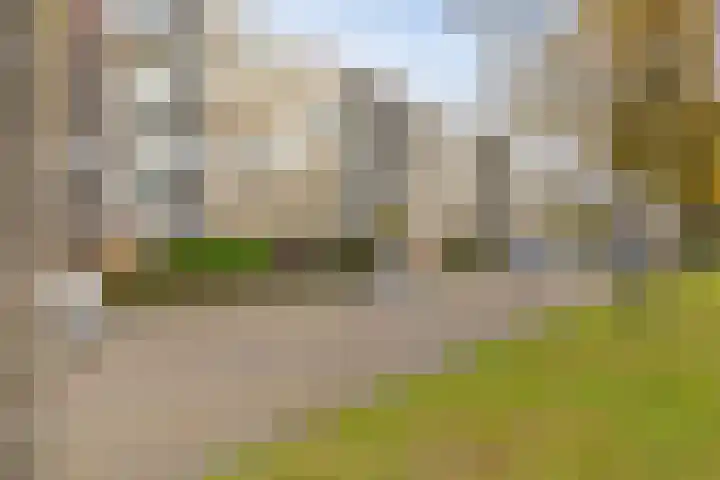 van de Mortelstraat 154 Noordwijk thumbnail 23