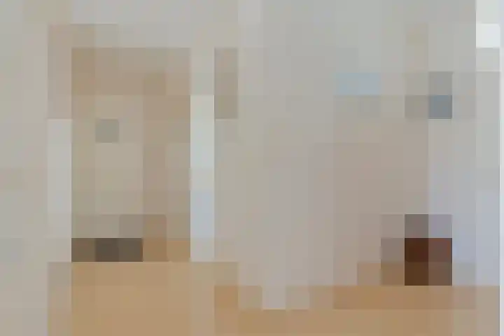 van de Mortelstraat 154 Noordwijk thumbnail 6