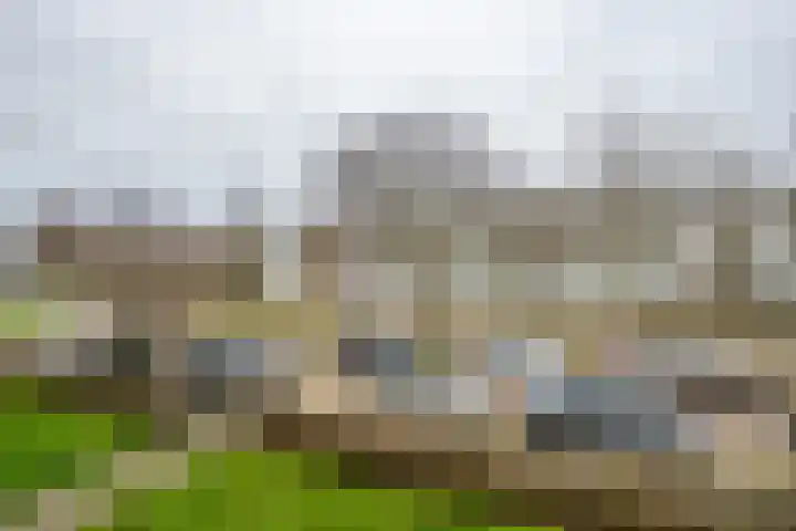 van de Mortelstraat 42 Noordwijk thumbnail 18