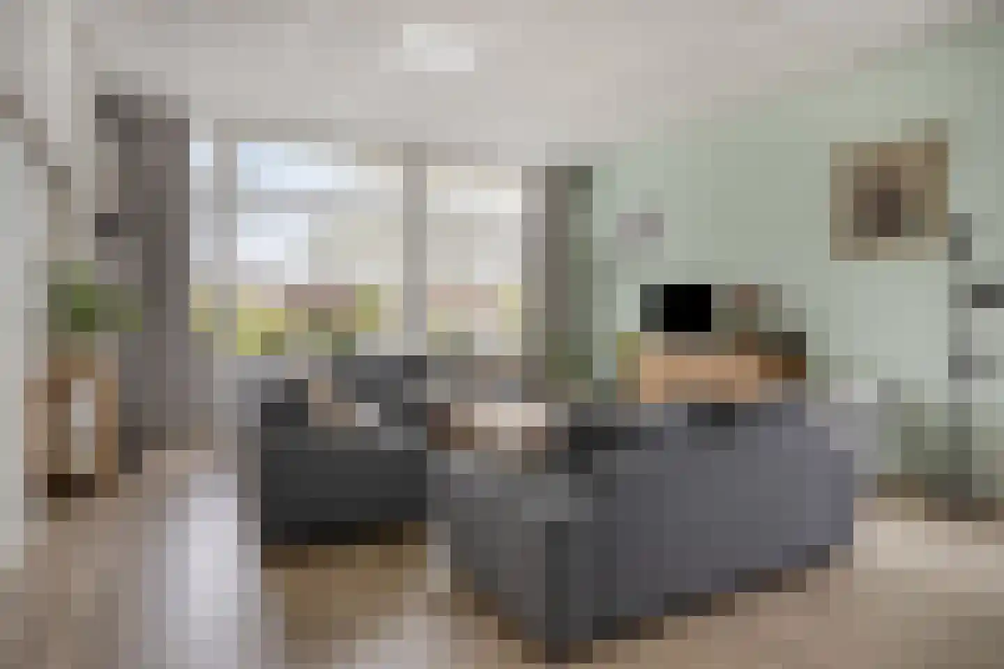 van de Plasschestraat 10 's-Heer Abtskerke thumbnail 11