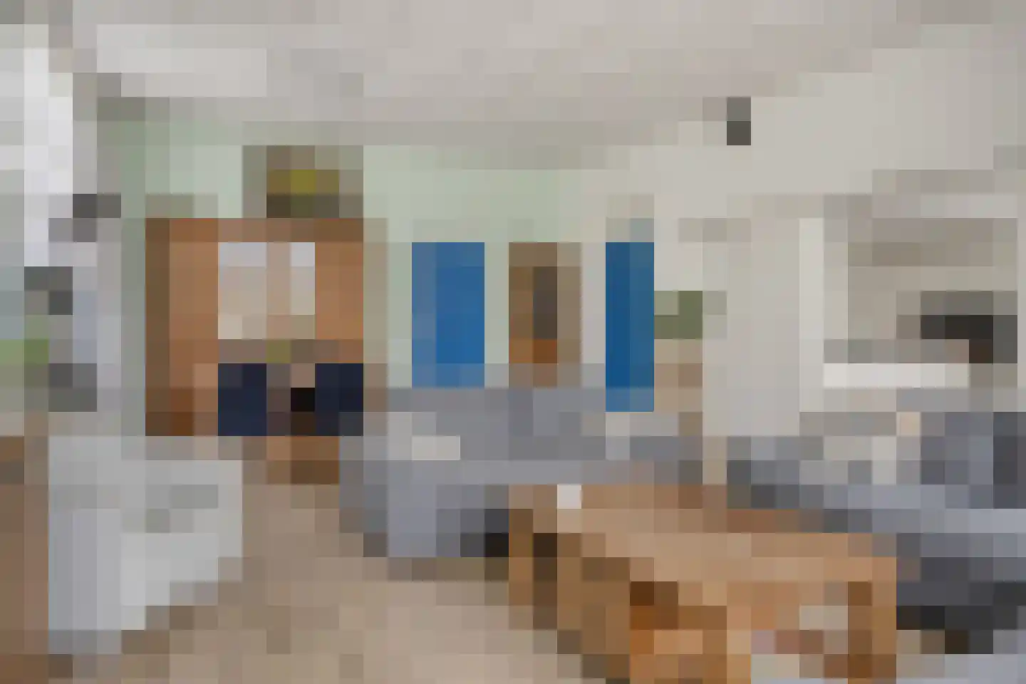 van de Plasschestraat 10 's-Heer Abtskerke thumbnail 12