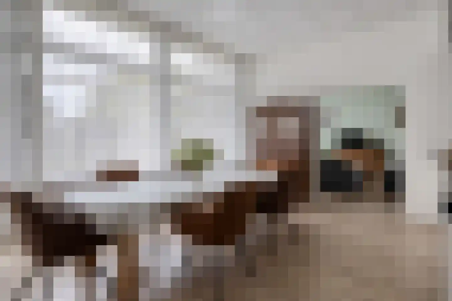 van de Plasschestraat 10 's-Heer Abtskerke thumbnail 15