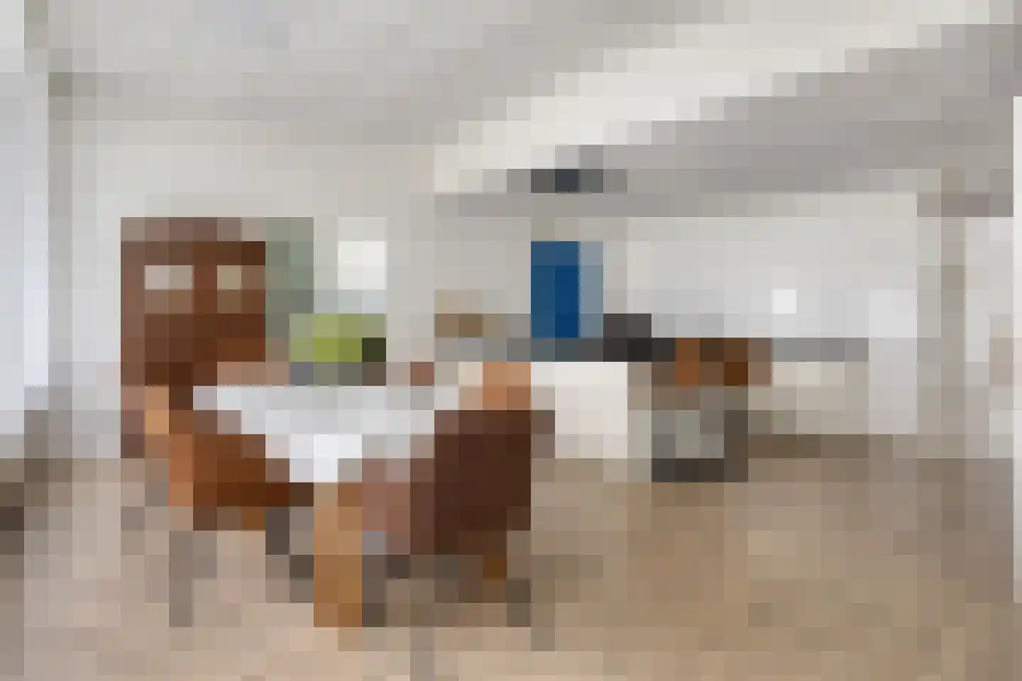 van de Plasschestraat 10 's-Heer Abtskerke thumbnail 17