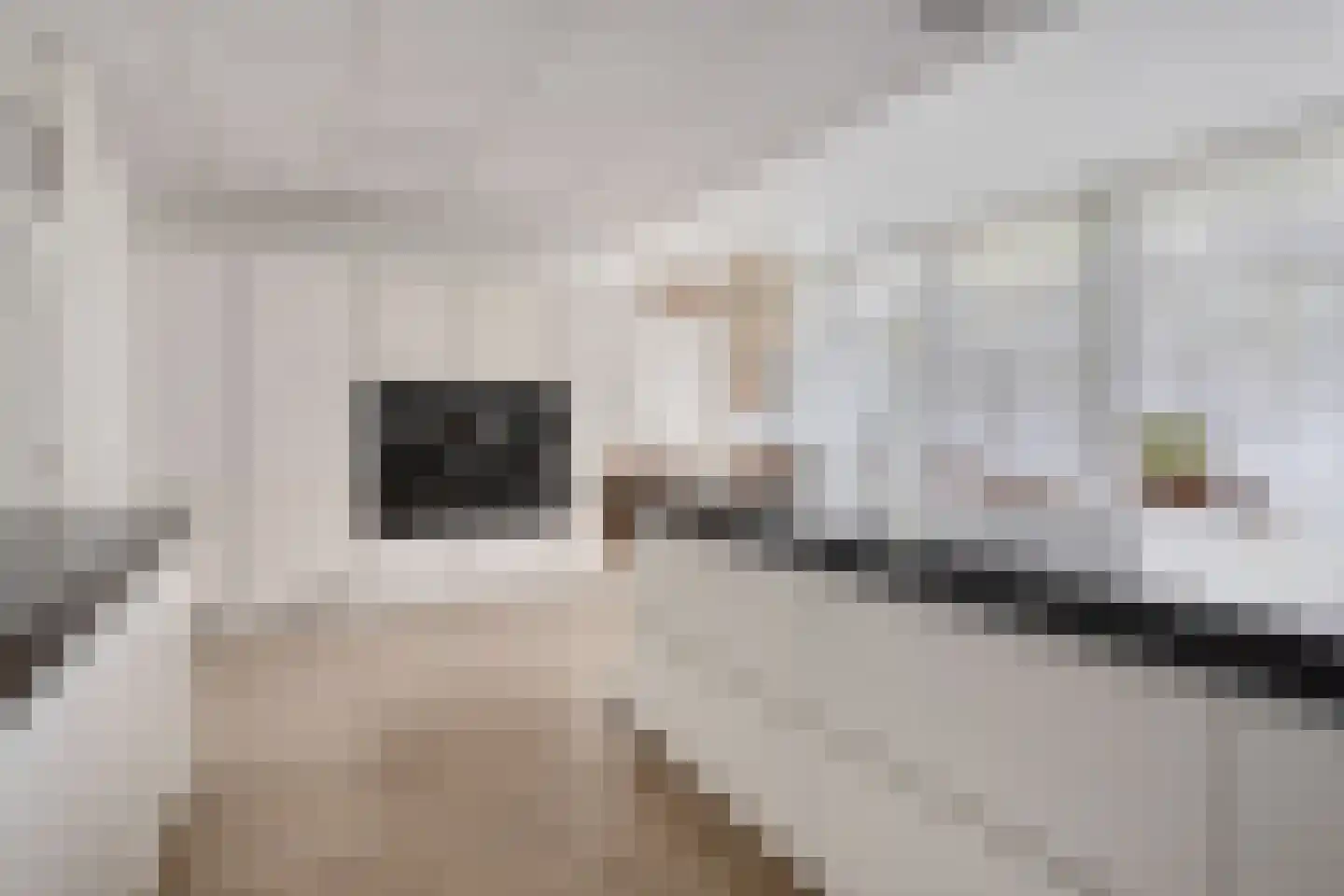 van de Plasschestraat 10 's-Heer Abtskerke thumbnail 19