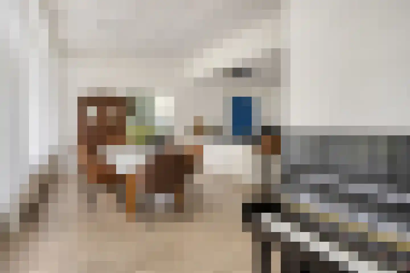 van de Plasschestraat 10 's-Heer Abtskerke thumbnail 21