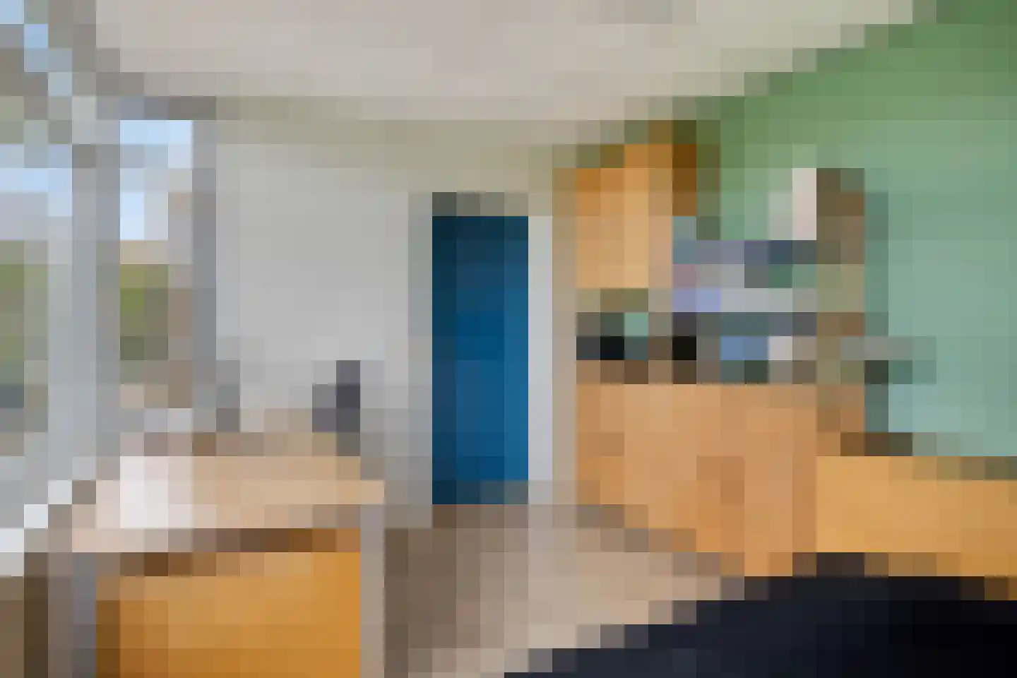 van de Plasschestraat 10 's-Heer Abtskerke thumbnail 23