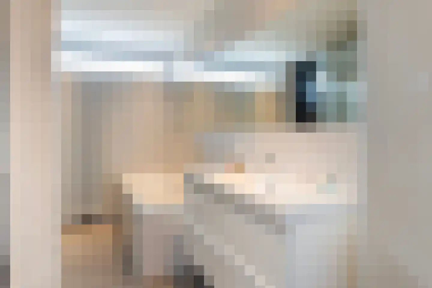 van de Plasschestraat 10 's-Heer Abtskerke thumbnail 29