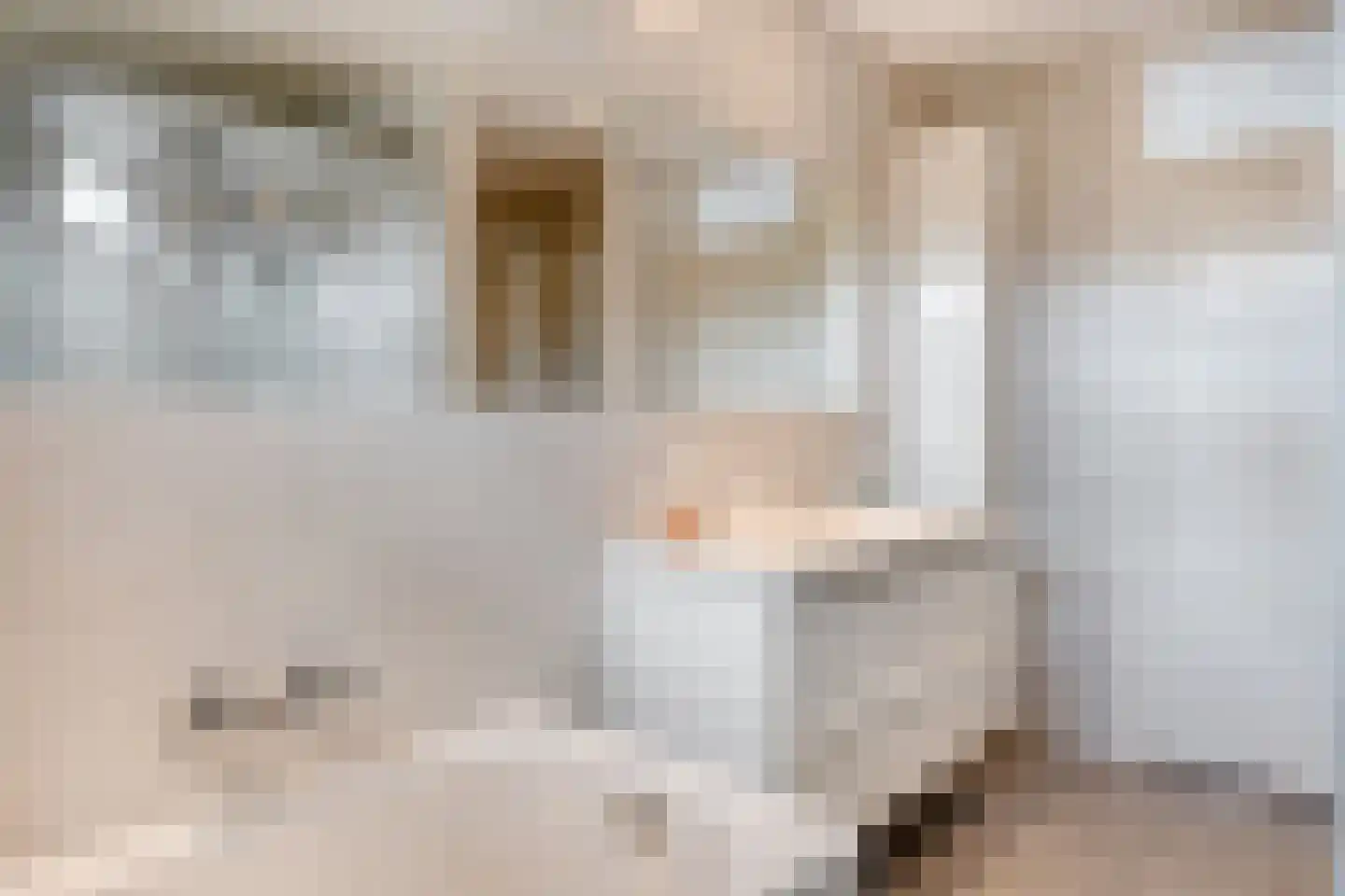 van de Plasschestraat 10 's-Heer Abtskerke thumbnail 30