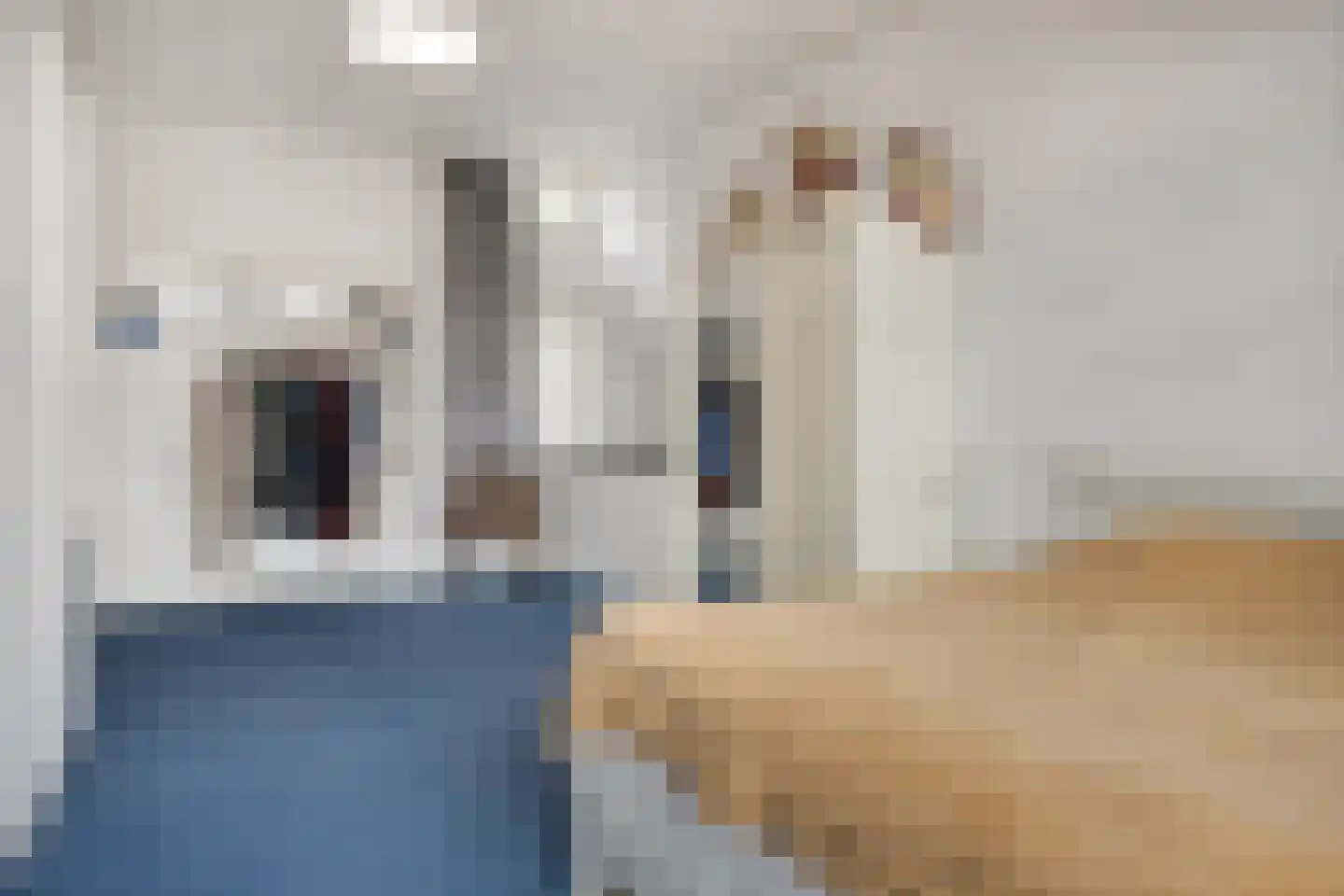 van de Plasschestraat 10 's-Heer Abtskerke thumbnail 37