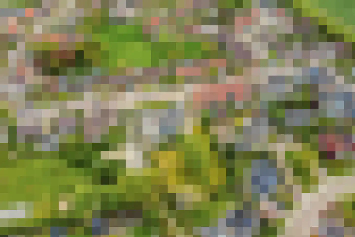 van de Plasschestraat 10 's-Heer Abtskerke thumbnail 48