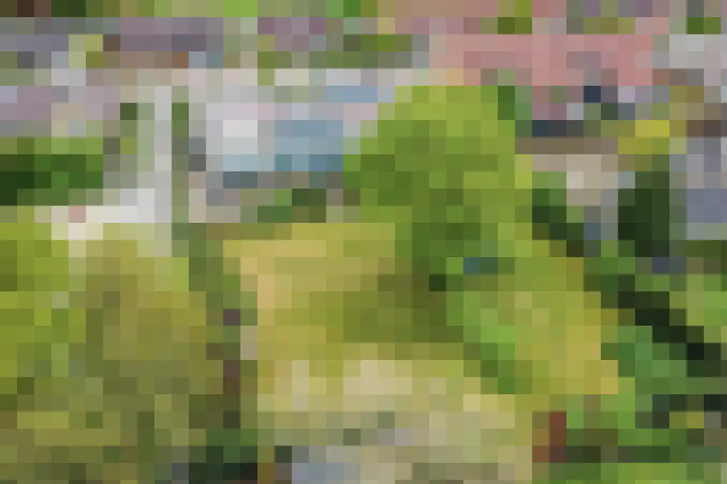 van de Plasschestraat 10 's-Heer Abtskerke thumbnail 49