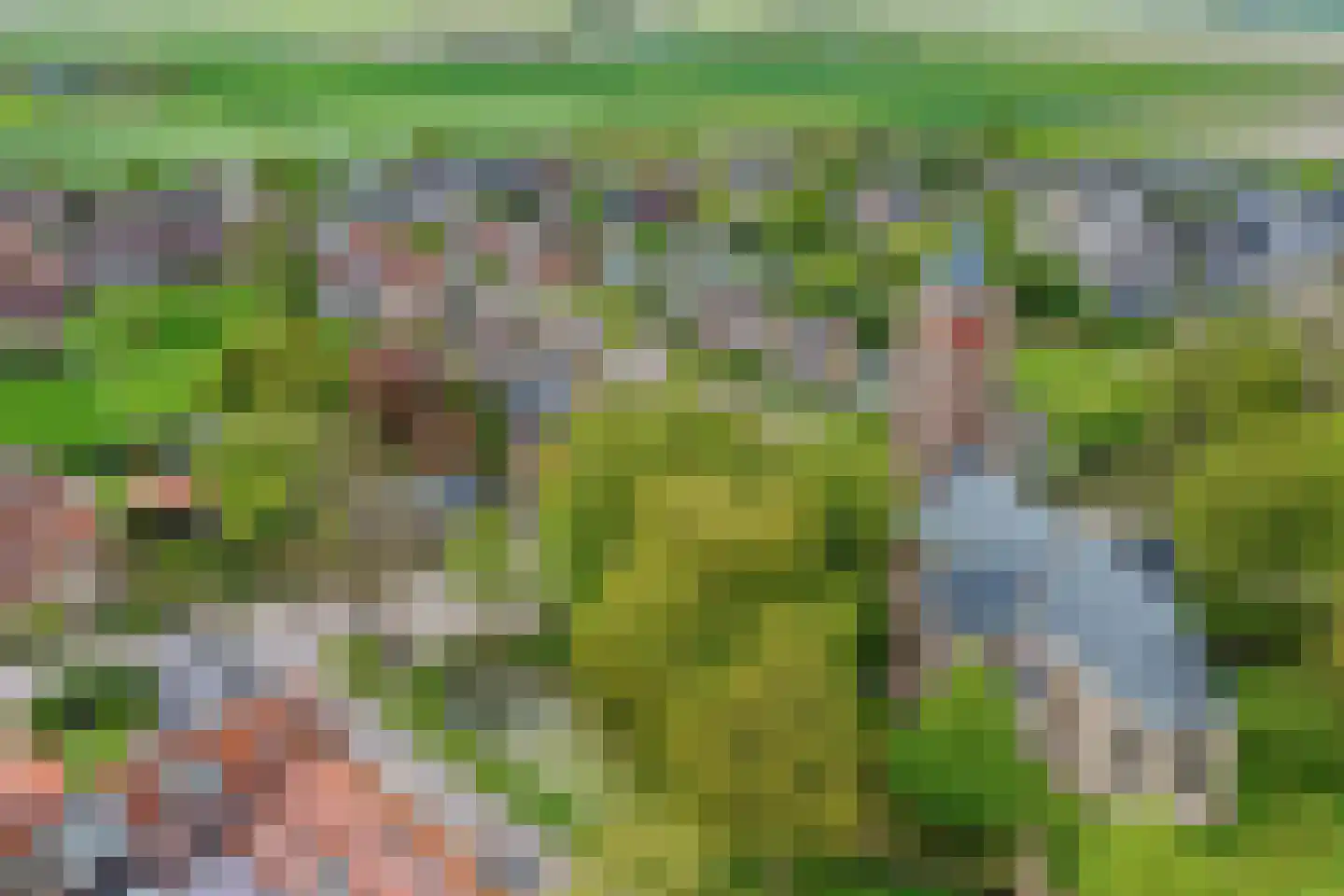 van de Plasschestraat 10 's-Heer Abtskerke thumbnail 55