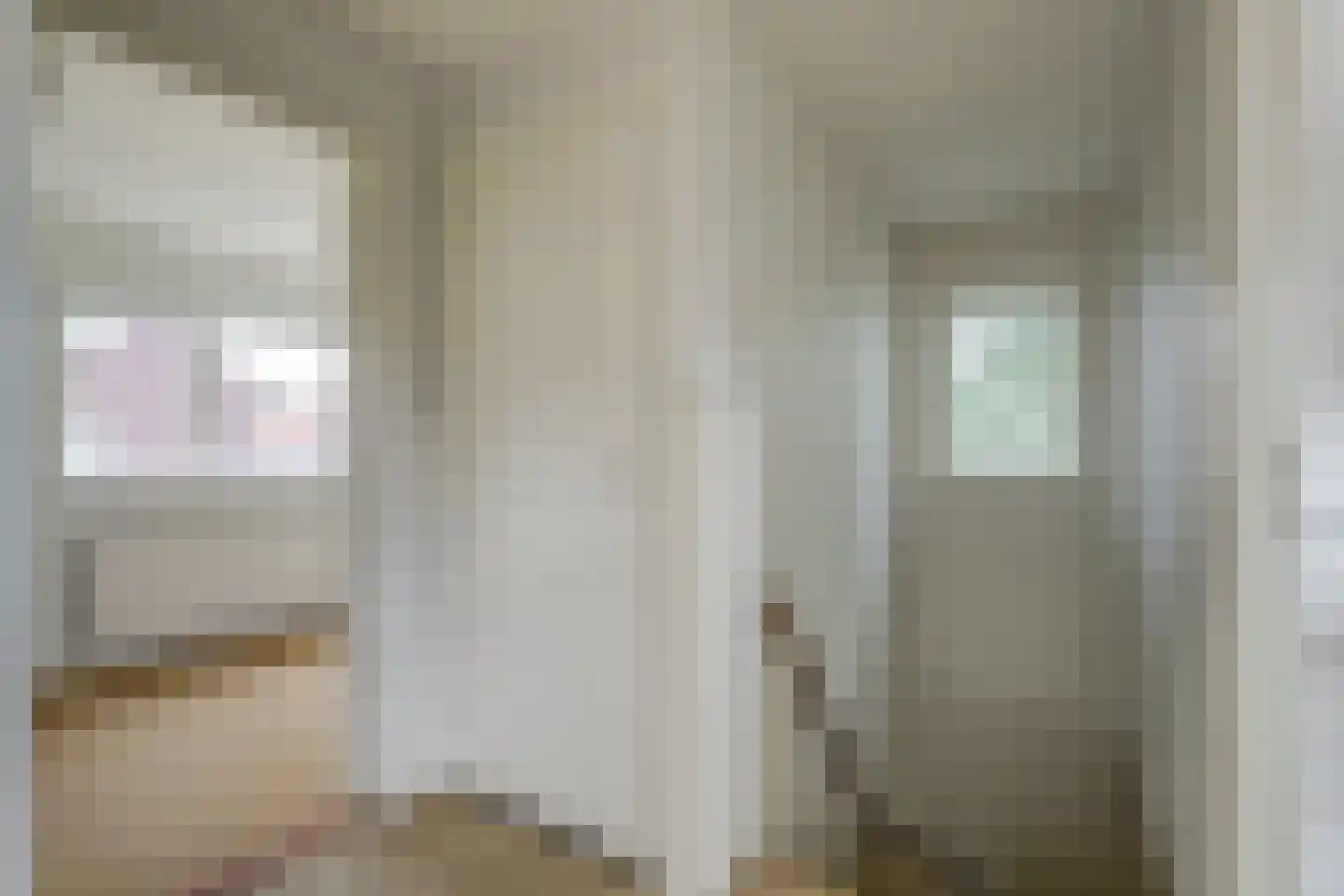 van de Poelstraat 11 Raamsdonksveer thumbnail 12