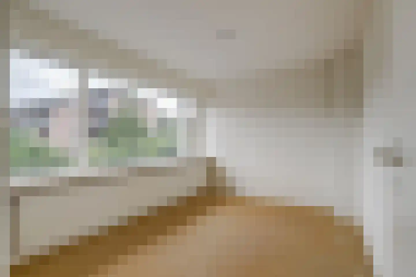 van de Poelstraat 11 Raamsdonksveer thumbnail 13