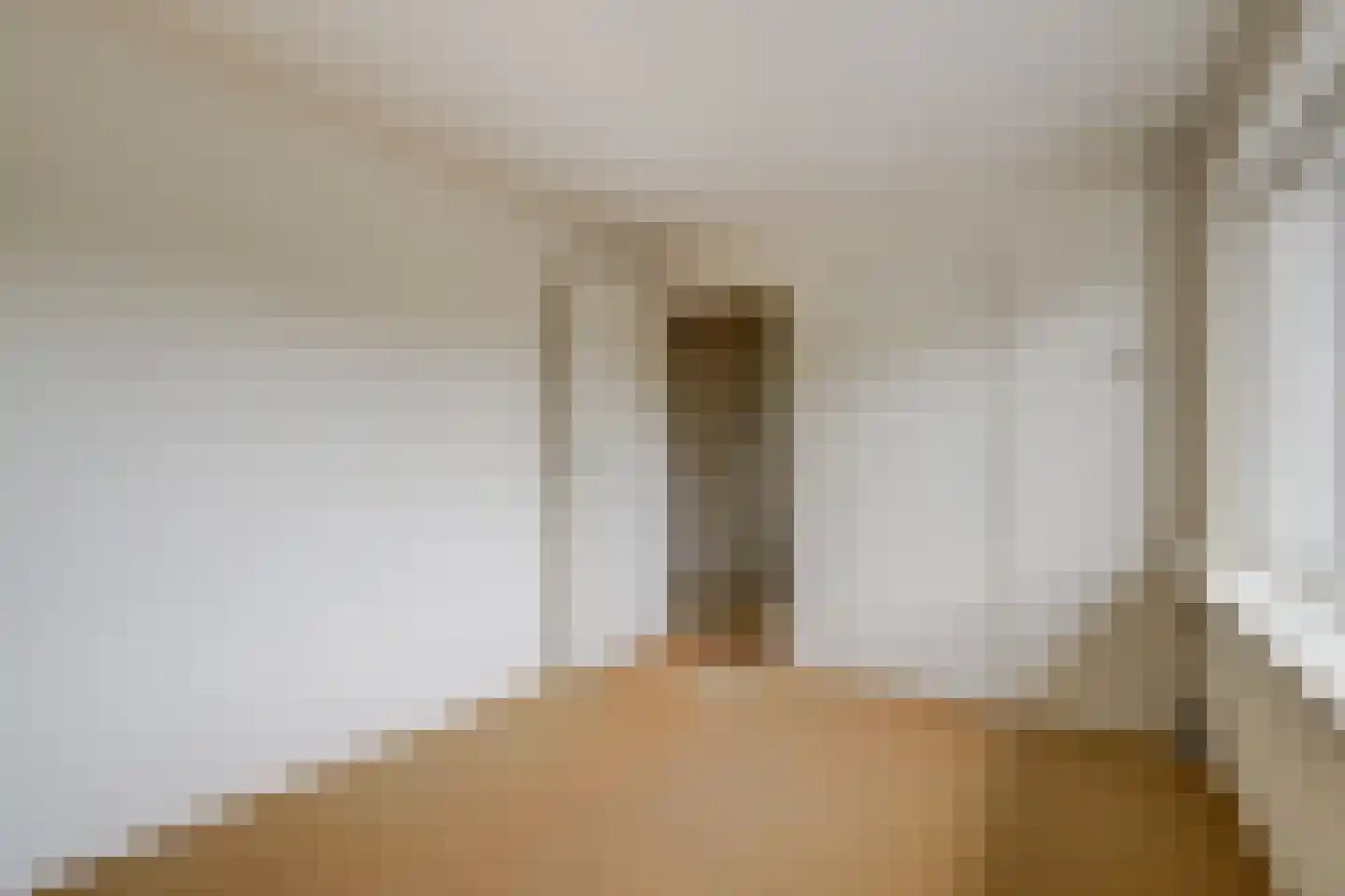 van de Poelstraat 11 Raamsdonksveer thumbnail 14