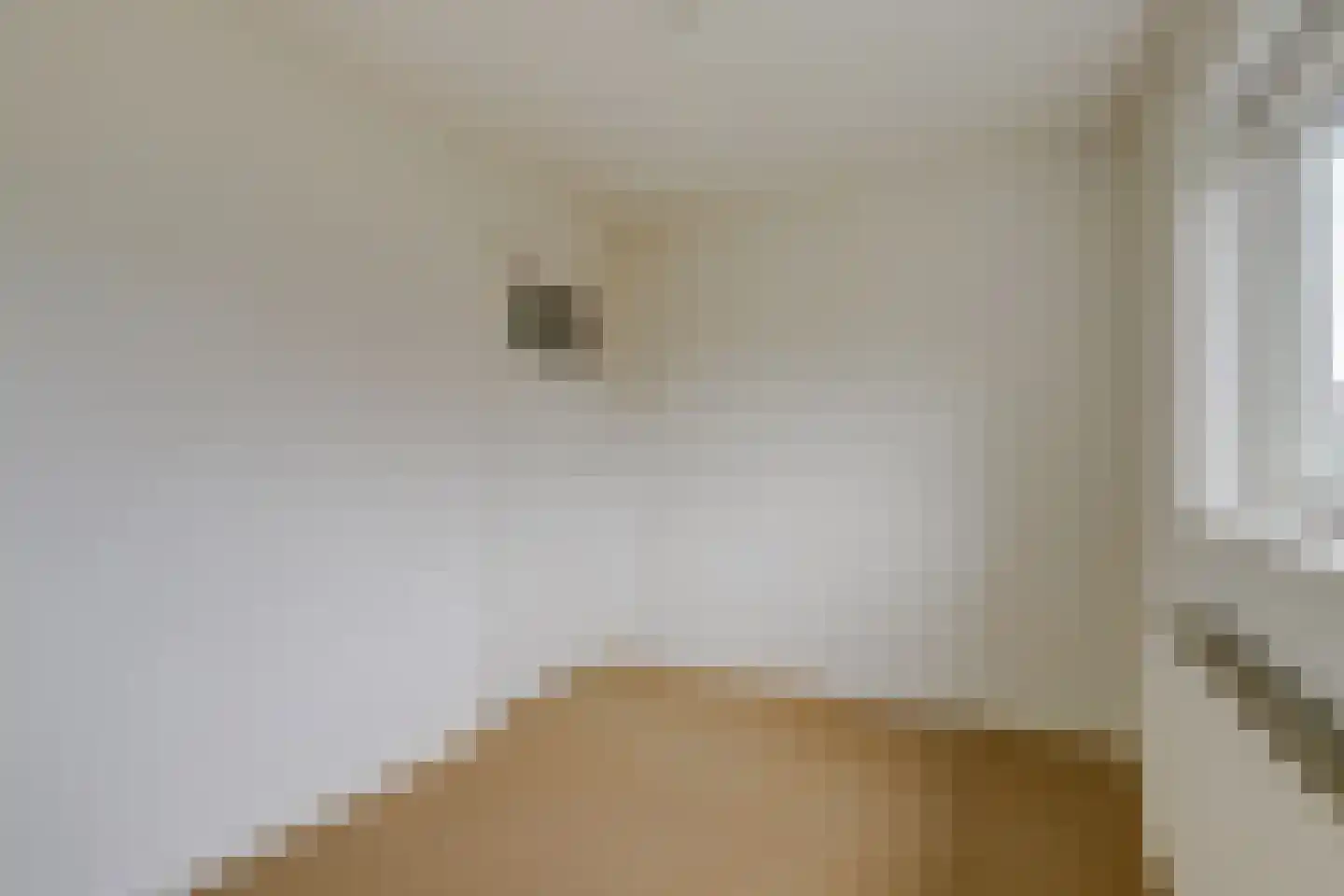 van de Poelstraat 11 Raamsdonksveer thumbnail 18